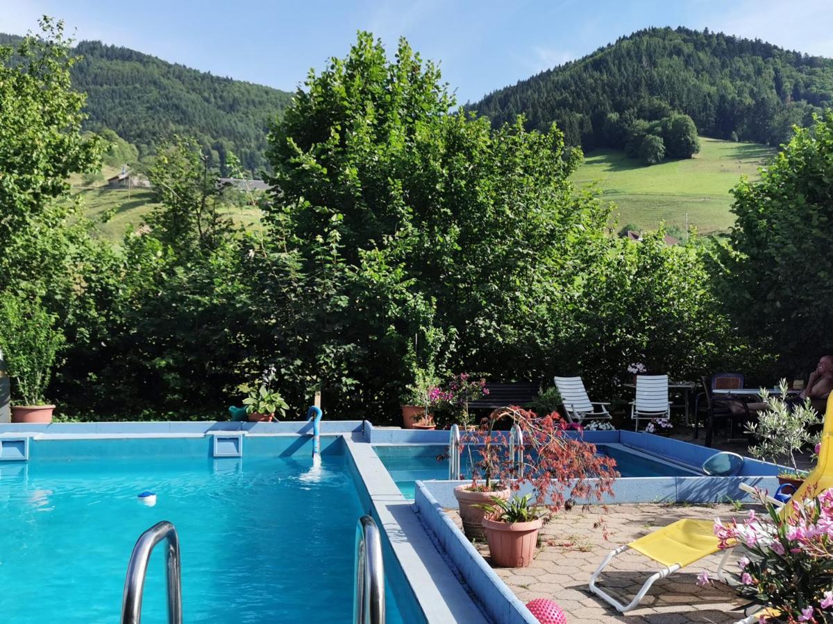Ferienwohnungen Vogelsang Münstertal Exterior foto