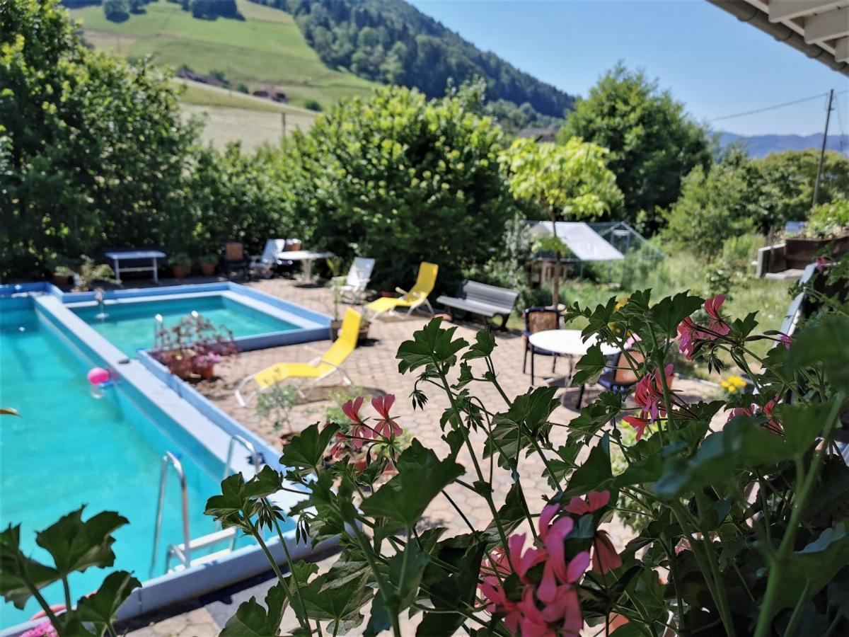 Ferienwohnungen Vogelsang Münstertal Exterior foto