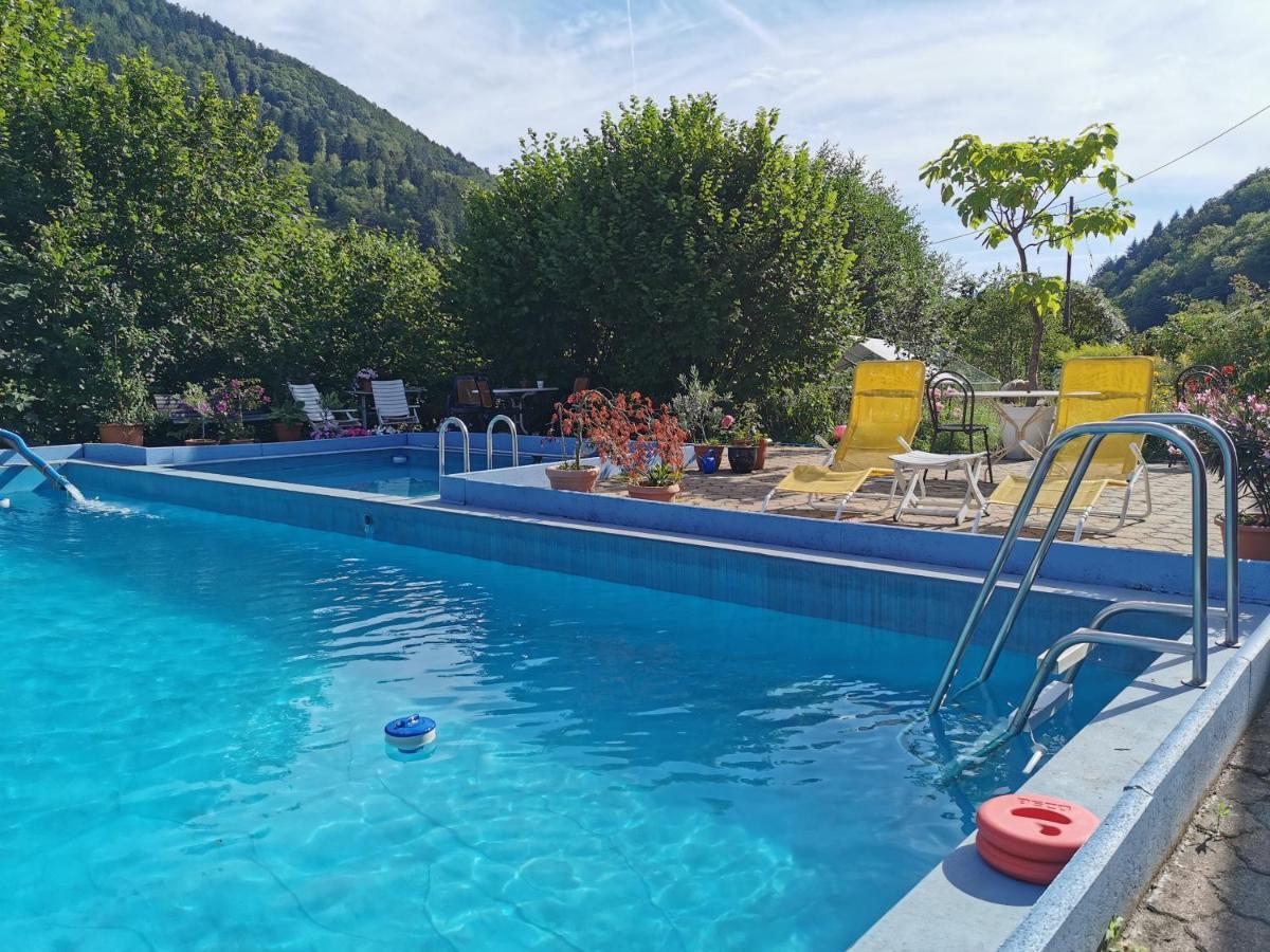 Ferienwohnungen Vogelsang Münstertal Exterior foto