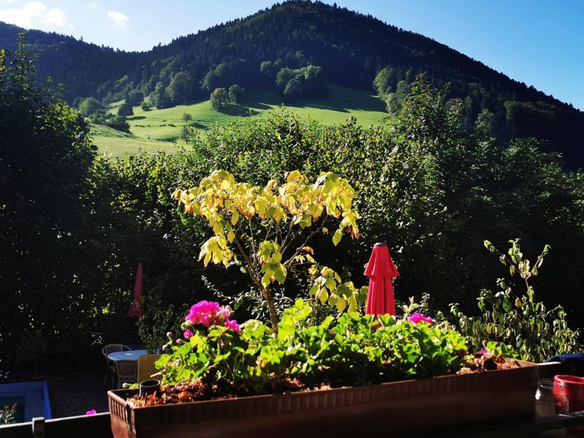 Ferienwohnungen Vogelsang Münstertal Exterior foto