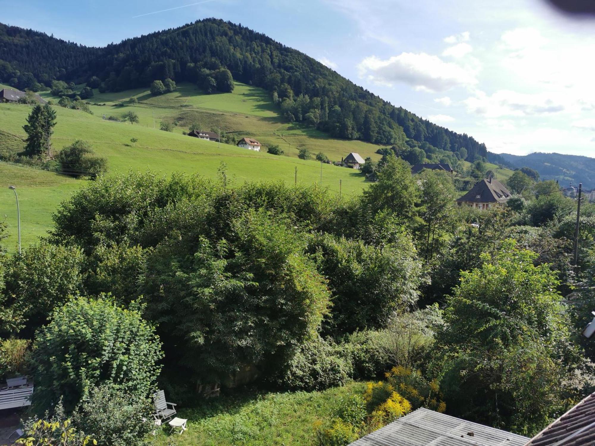 Ferienwohnungen Vogelsang Münstertal Exterior foto